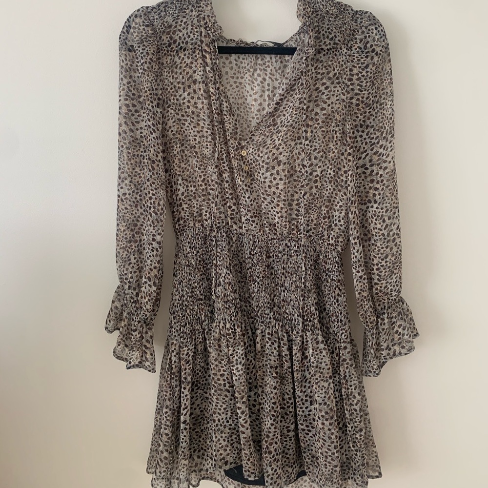 Zara Cheetah Print Dress